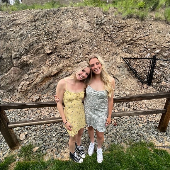 Aritzia Wilfred summer dress - Picture 5 of 5